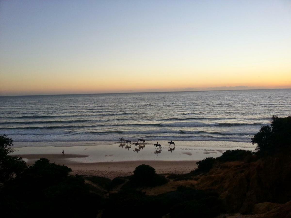 Luminoso Apartamento En Playa Las Redes, Entorno Natural Pinares Y Dunas. Wifi エル・プエルト・デ・サンタ・マリア エクステリア 写真